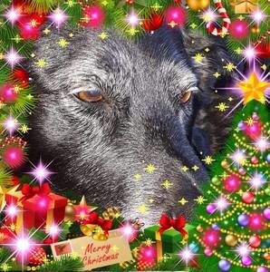 Meet your Posher, Shantell